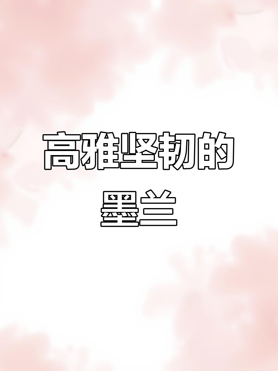 墨兰:淡泊高雅的君子之花,象征坚韧与自律