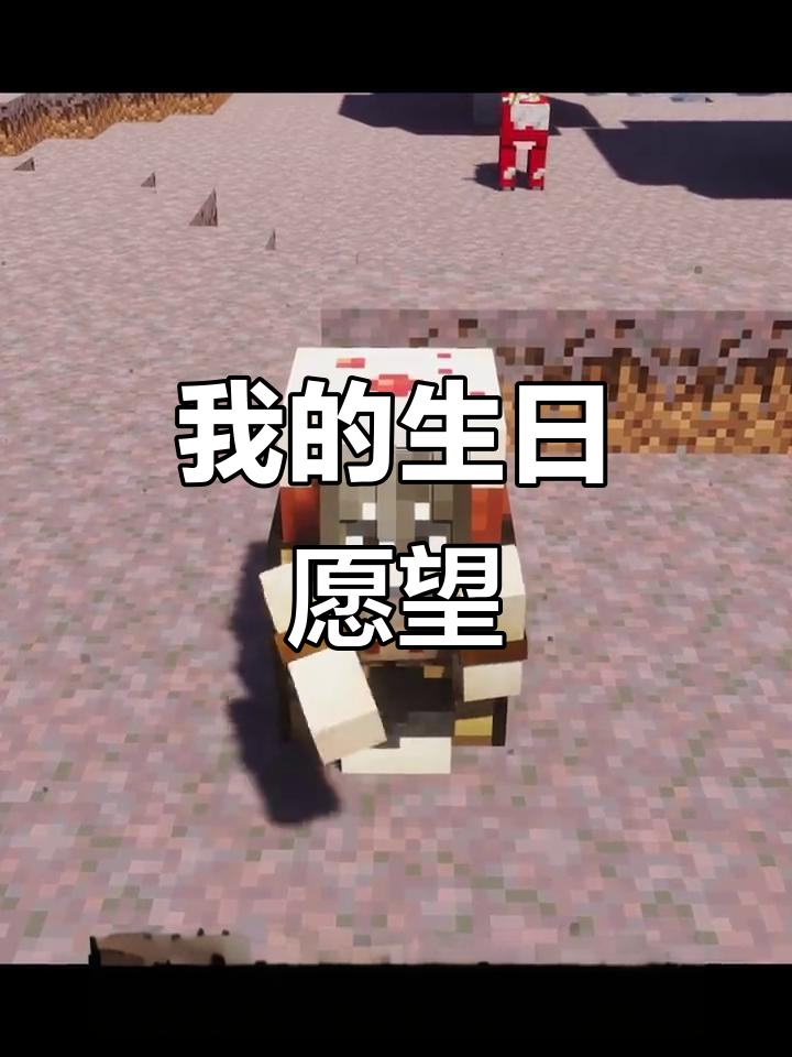 23岁生日蛋糕挑战,愿望是粉丝越来越多!