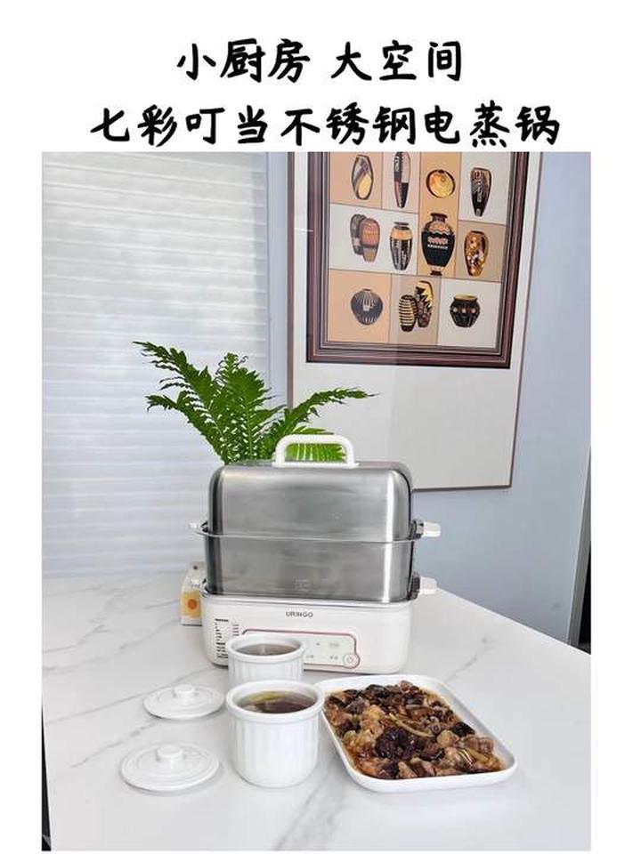 不占空间，还能蒸、炖、煮、涮，的多功能电蒸锅，真的太方便啦