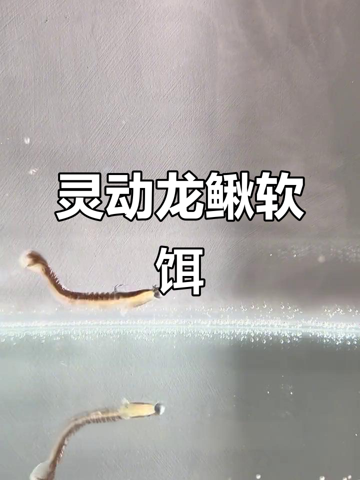 龙鳅软饵46节设计，诱鱼气泡不断释放，翘嘴桂鱼轻松钓