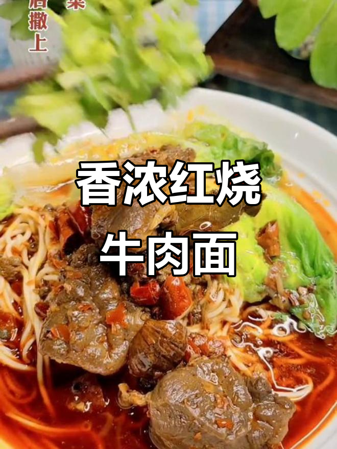 红烧牛肉面，香气扑鼻！吃上一口停不下来