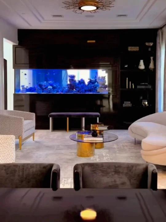 客厅鱼缸摆放隔断屏风家装鱼缸设计……
