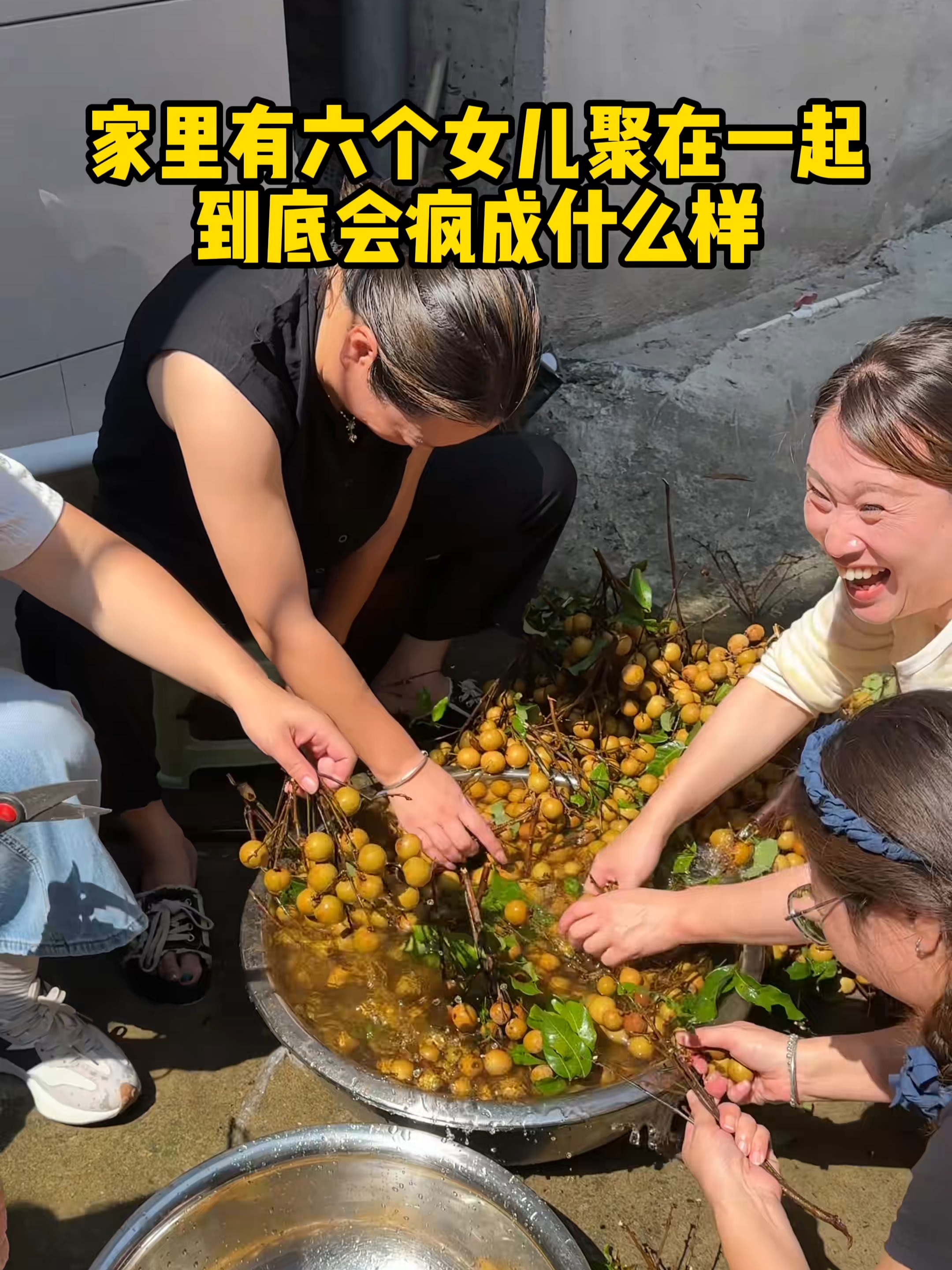 六姐妹又来霍霍龙眼啦！没想到要把50斤龙眼肉全部挖出来！