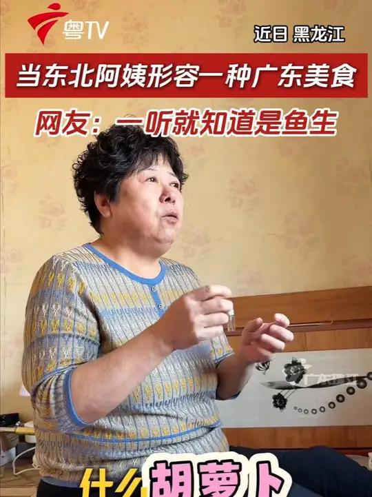 当东北阿姨形容一种广东美食,网友:一听就知道是鱼生 #广东美食 #鱼生 #东北人