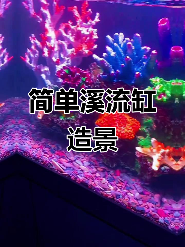 溪流缸造景教程:如何打造自然鱼缸景观