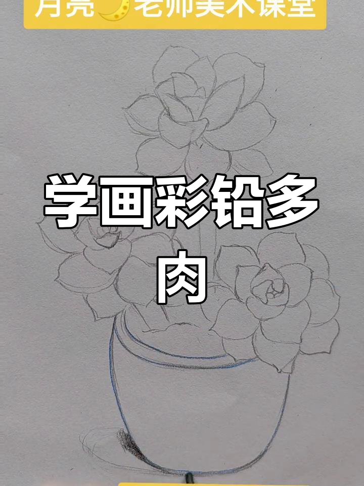 彩铅多肉植物绘制技巧,轻松掌握叶片变化与投影