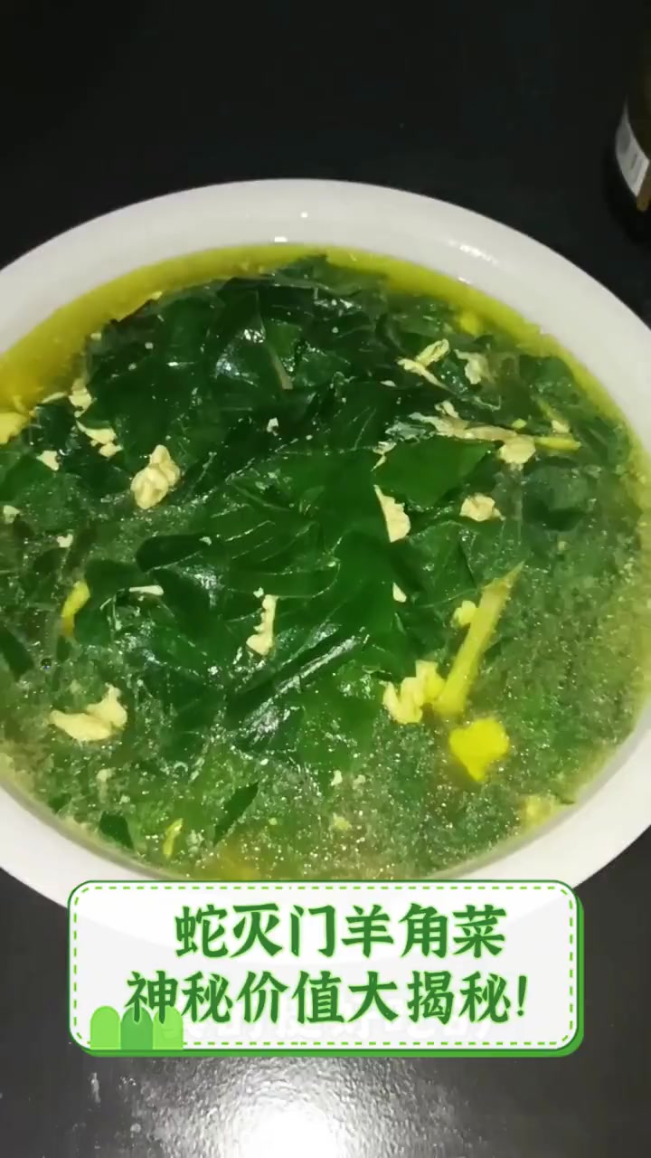 蛇灭门羊角菜,神秘价值大揭秘!