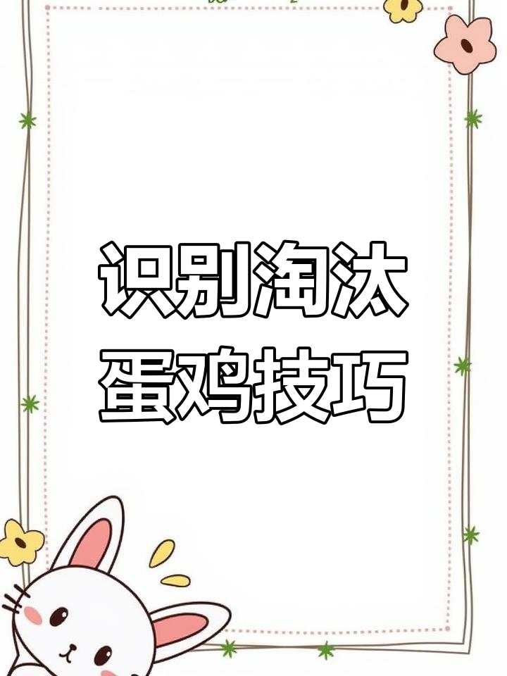 如何辨别淘汰蛋鸡?掌握这些特征,轻松分辨真假土母鸡
