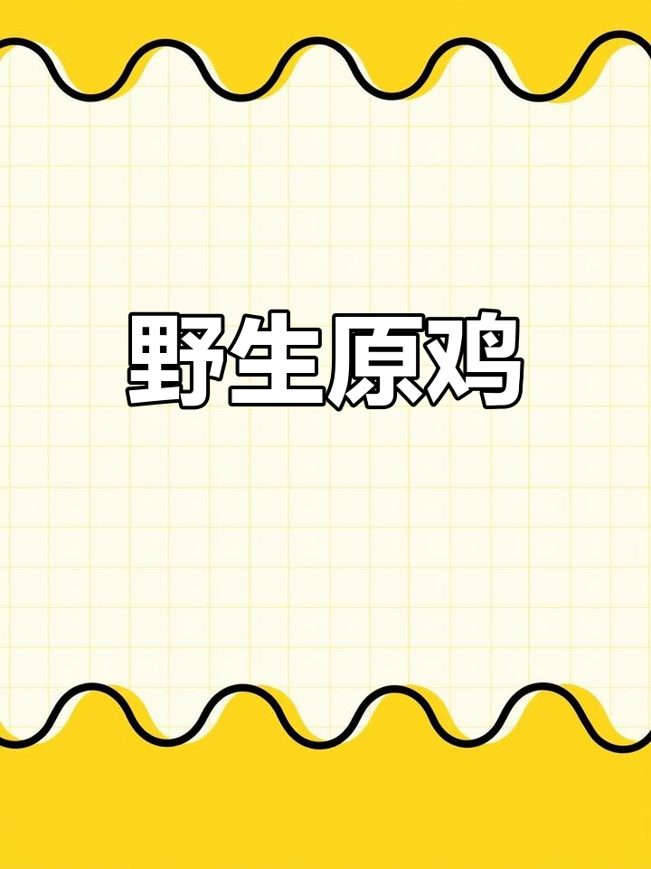 原鸡体型较大,雄鸟色彩鲜艳,是家鸡的野生亲戚