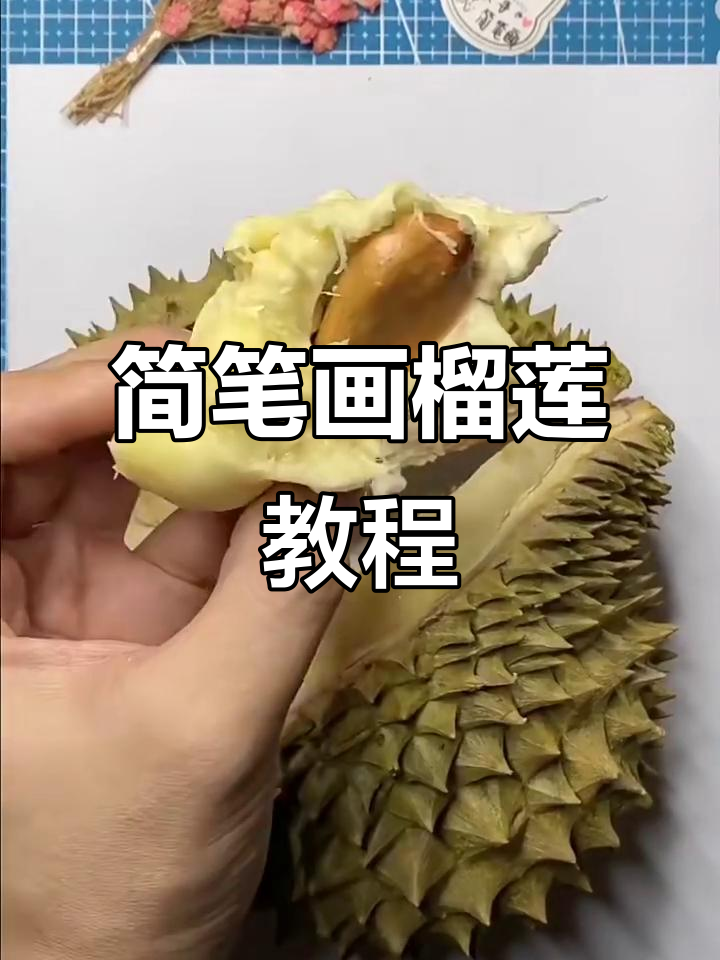 轻松画出可爱榴莲,步骤简单又有趣
