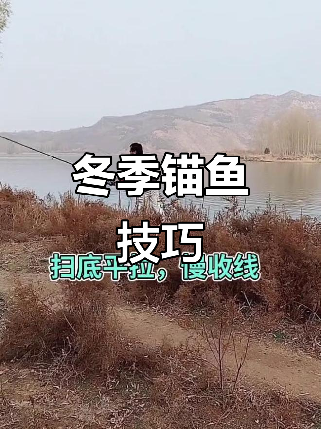 冬季寒冷如何高效锚鱼?技巧与装备全解析