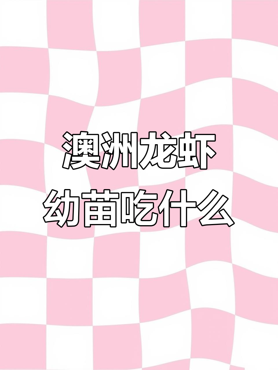 澳洲龙虾幼崽的饲料选择与成长过程