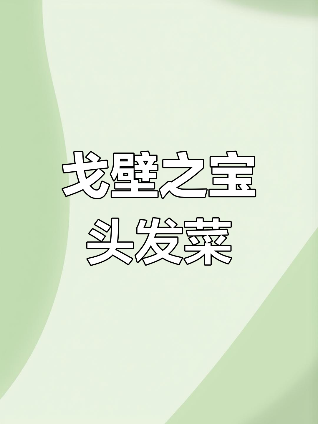 甘肃荒漠中的“头发菜”,竟是美味珍品,营养价值极高