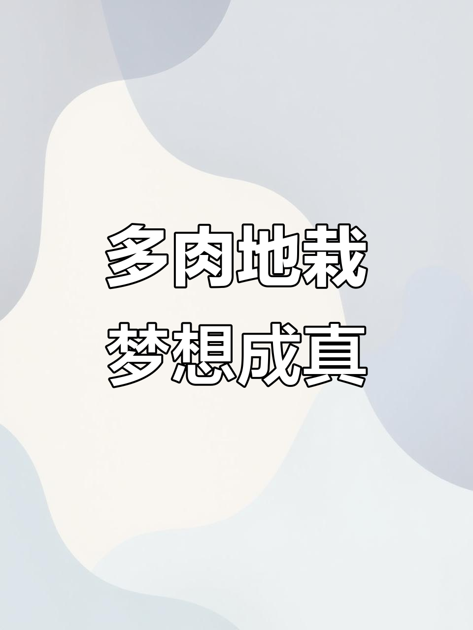 种植箱让多肉地栽更轻松,2个月打造五彩斑斓的夏天