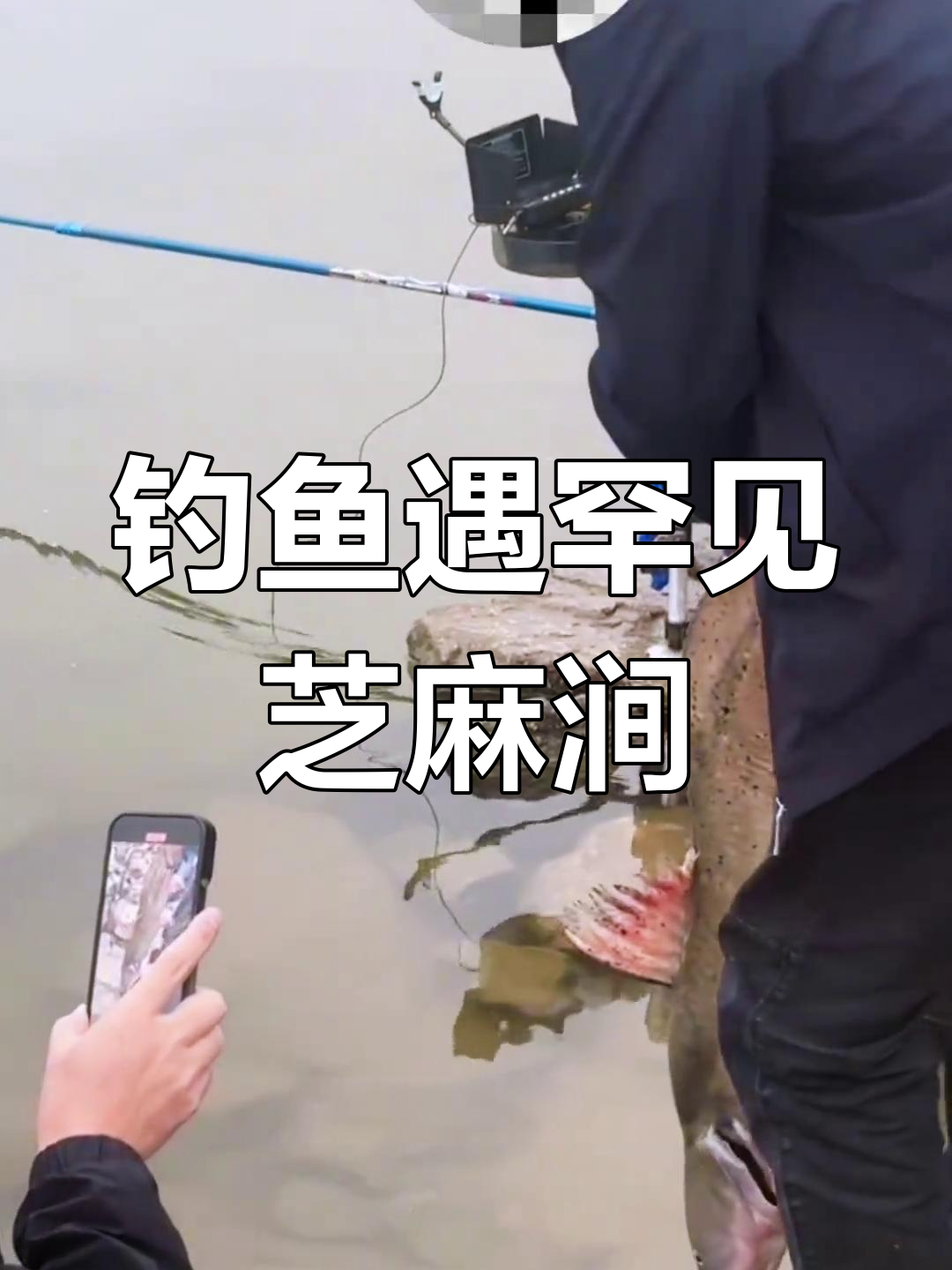 东江钓友捕获“淡水鱼之王”,芝麻涧放生保护