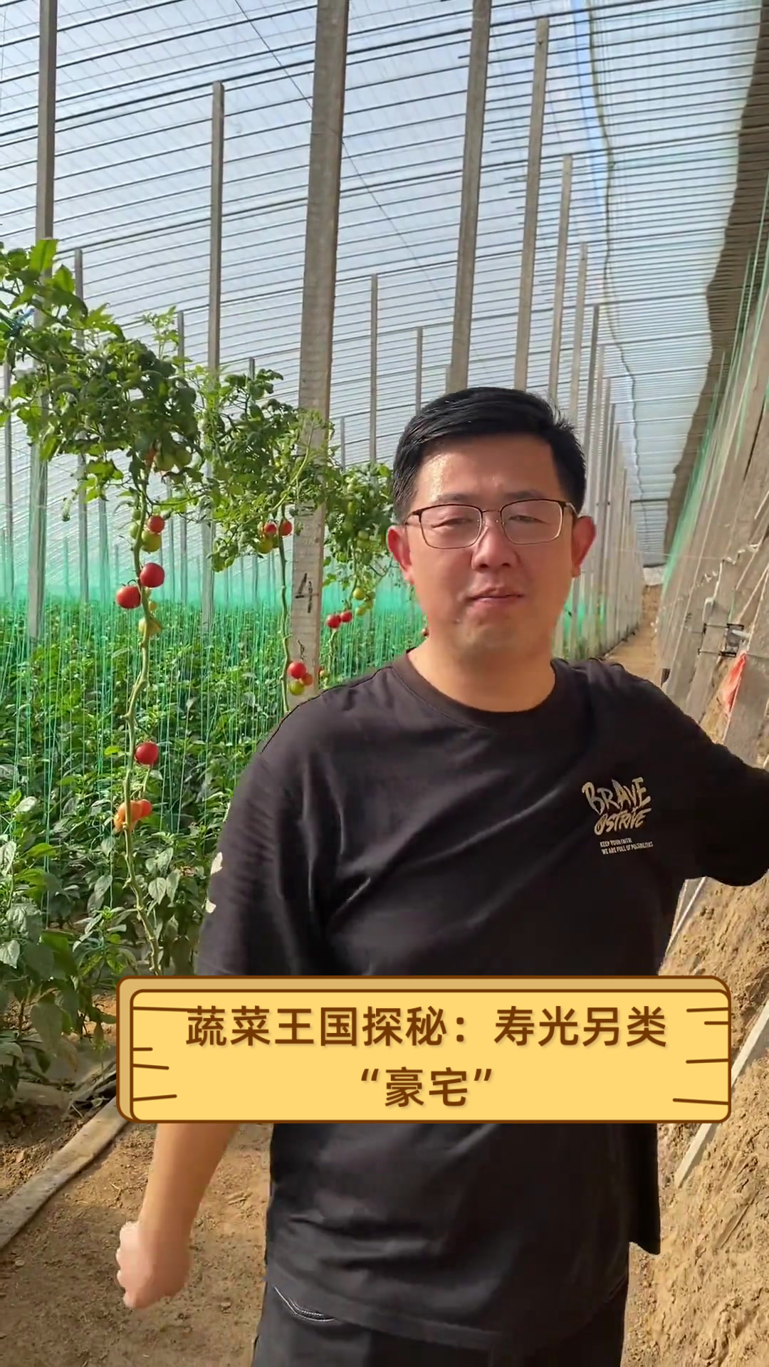 蔬菜王国探秘:寿光另类“豪宅”