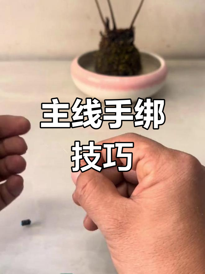 手绑线组教程,轻松掌握钓鱼必备技能