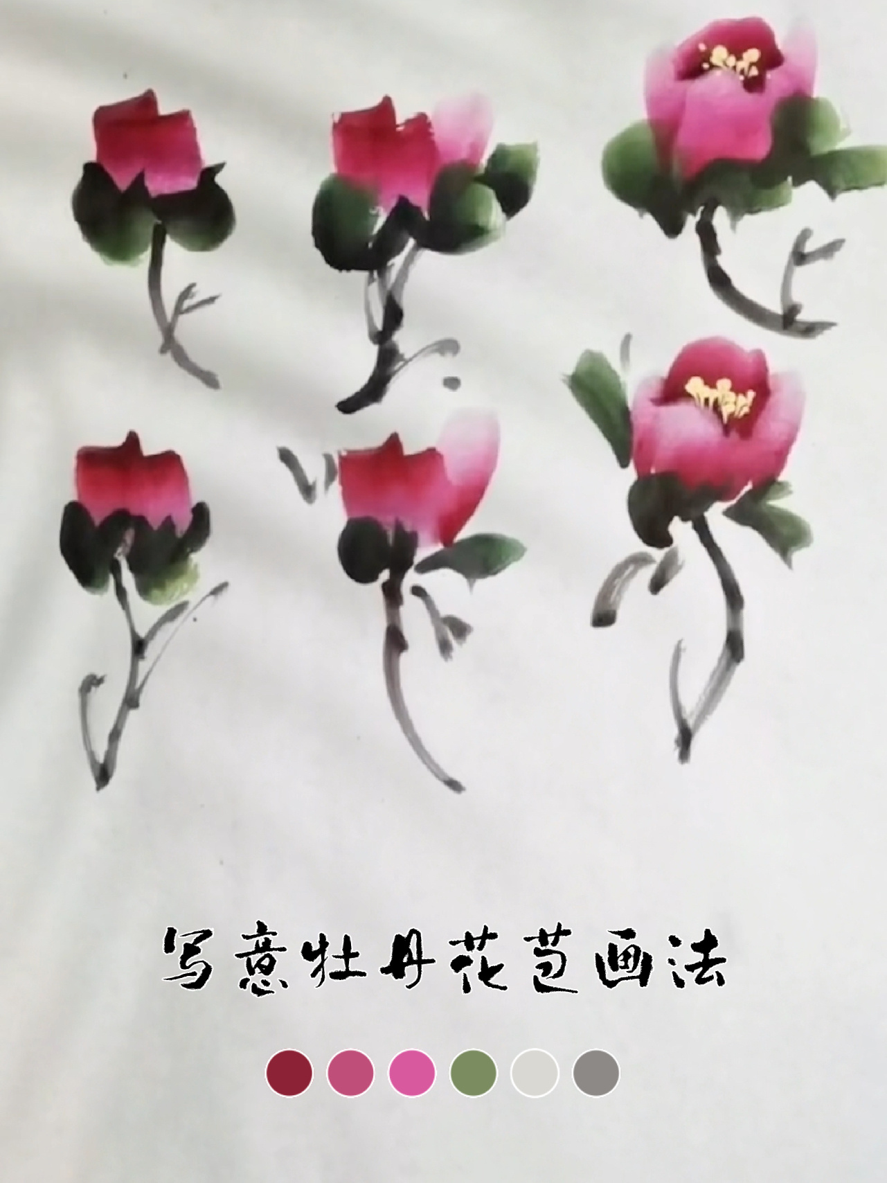 国画教程|牡丹花苞的画法