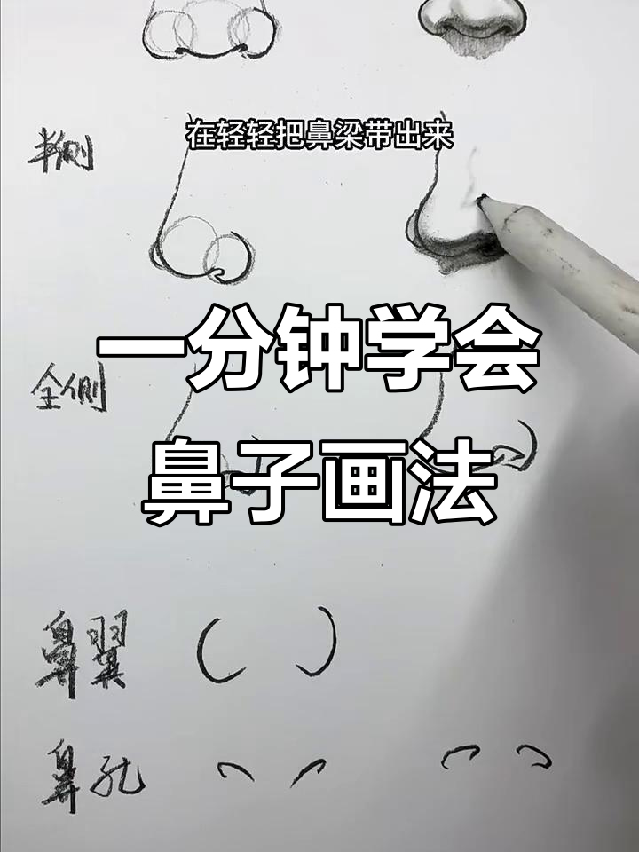 零基础素描鼻子画法,轻松掌握比例与立体感