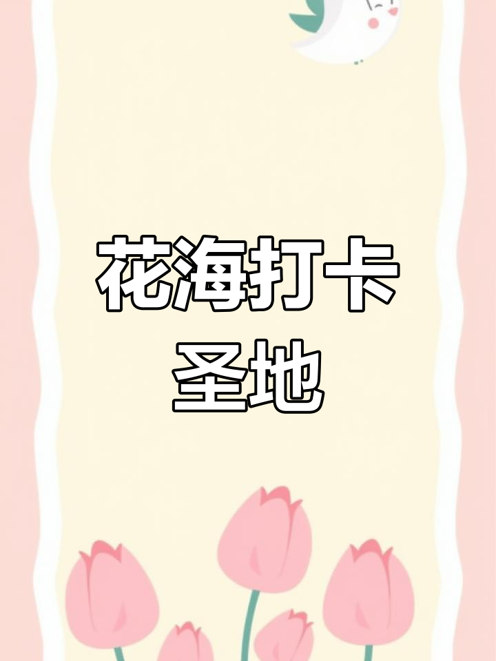 潼南菜花地,小路蜿蜒,观景台拍照绝佳