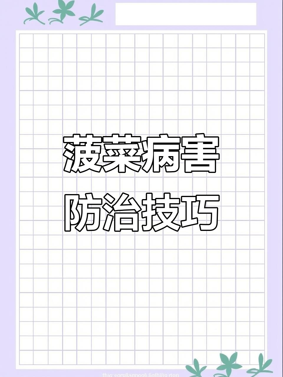 菠菜常见病害及防治方法，轻松搞定霜霉病、炭疽病等