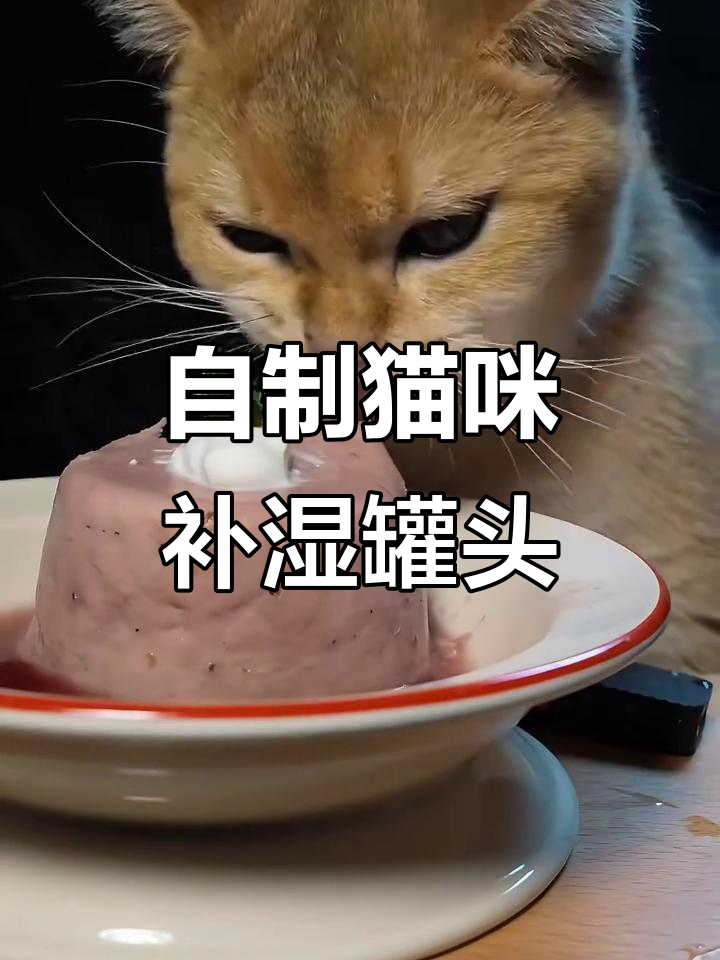 自制米其林猫饭:补水生骨肉罐头制作全攻略