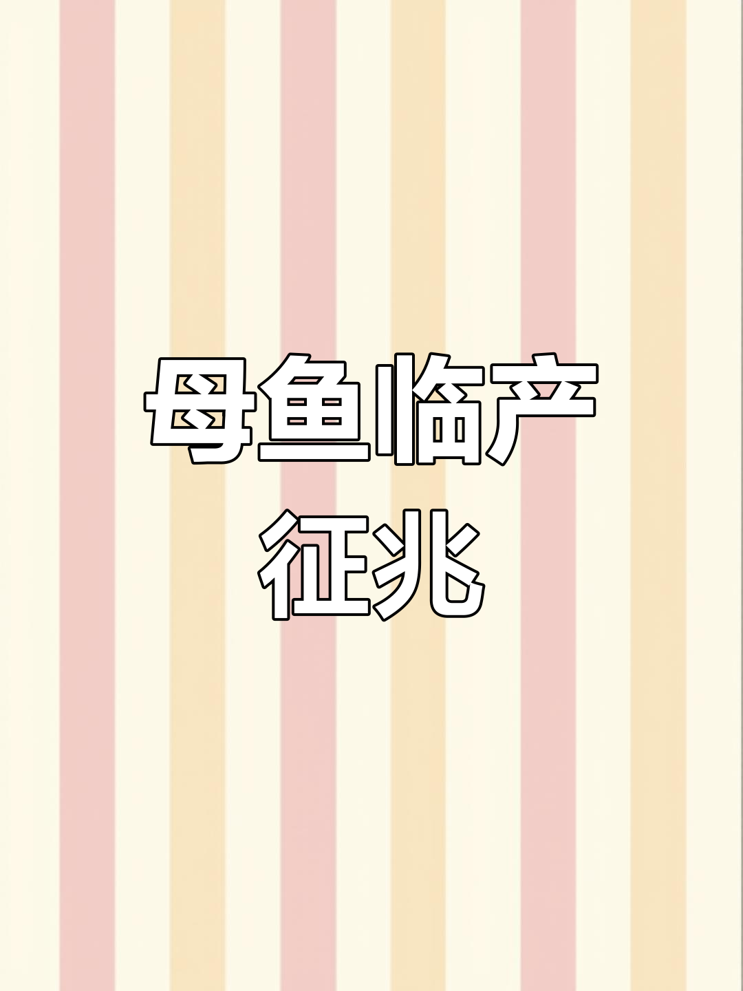 母鱼快生时肚子变化大,方形胎斑明显