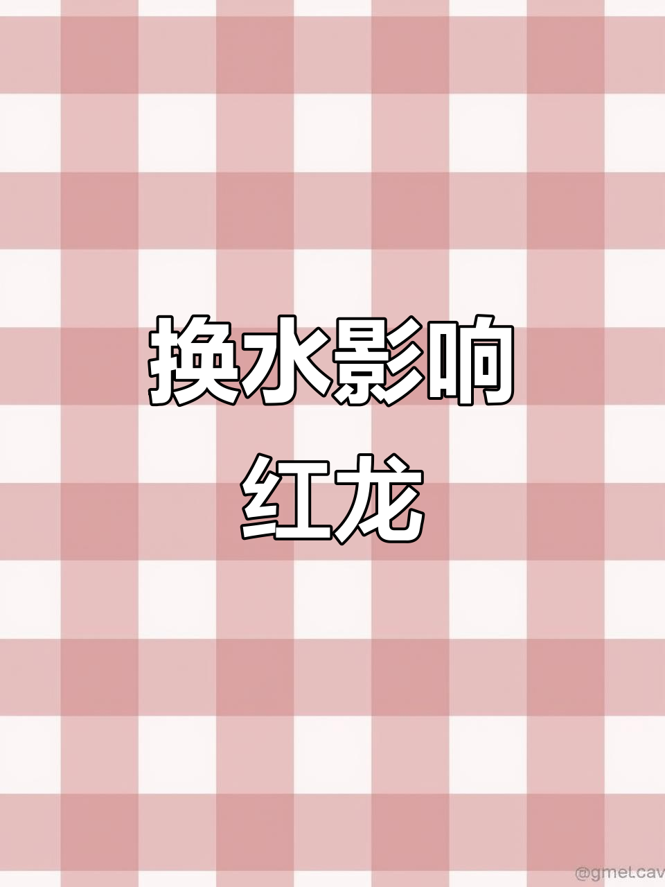 红龙鱼发色与体型,换水频率和量至关重要