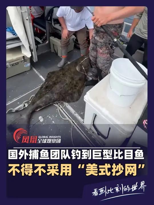 国外捕鱼队收获一条200磅的比目鱼,看起来像坦克