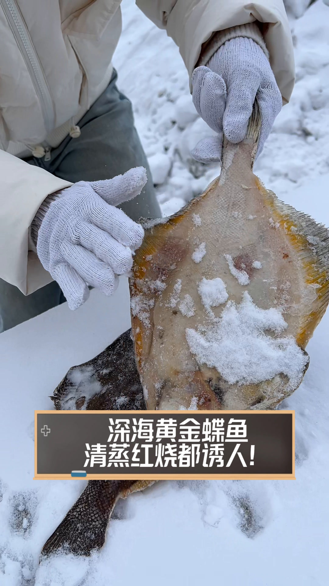 深海黄金蝶鱼,清蒸红烧都诱人!