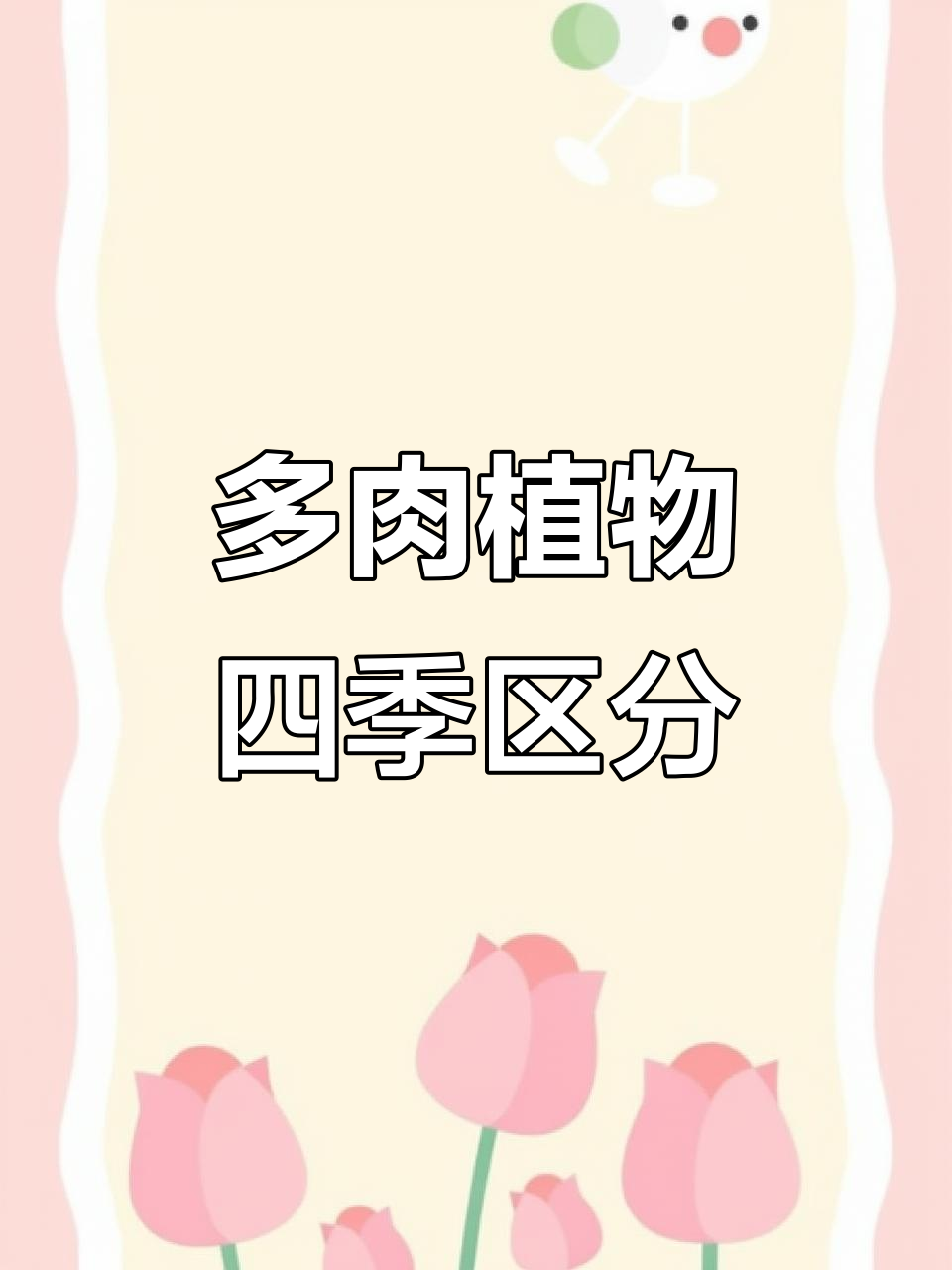 了解多肉分类,掌握不同季节生长习性