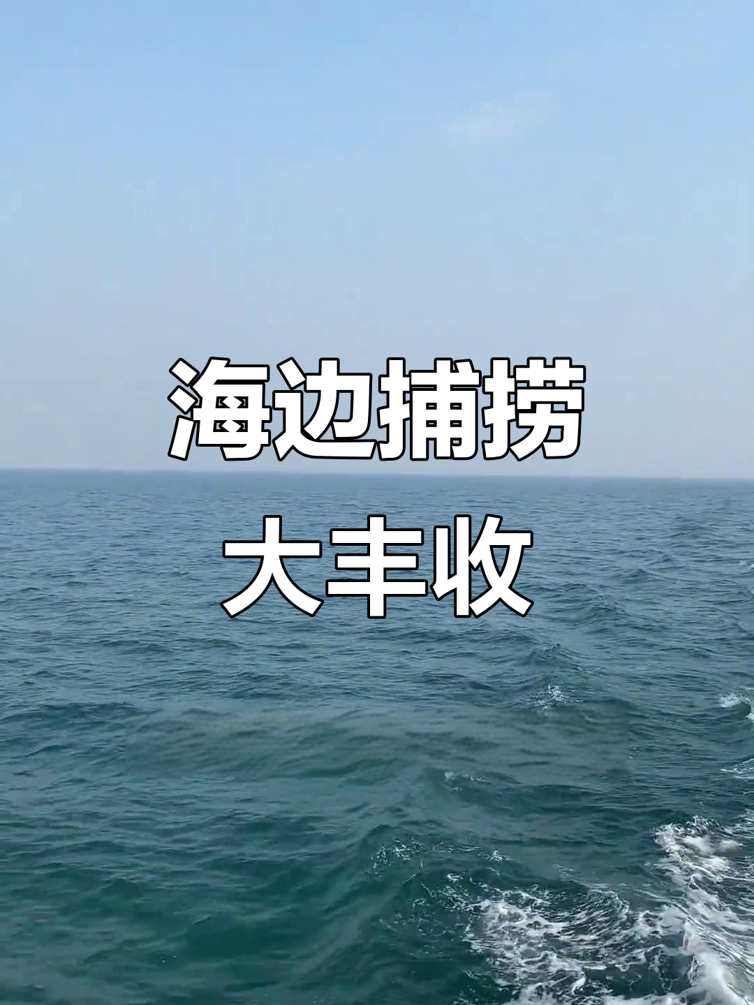 渔民日常:海边抓大鱼,竟然有这么多海鲜!