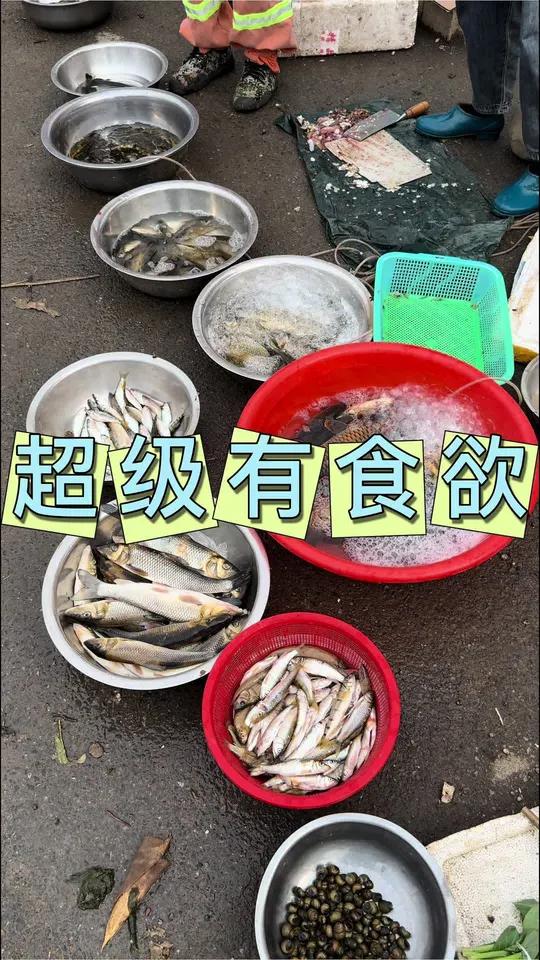 河鲜鲜辣美食天花板级别的食材 农村美食乡村味道农村生活河鲜河鲜小杂鱼赶集看到这些你能不能扛