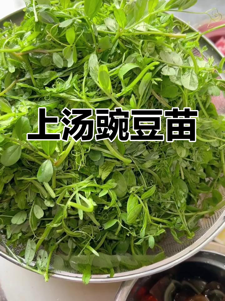 春季野菜豌豆尖汤,简单又美味!