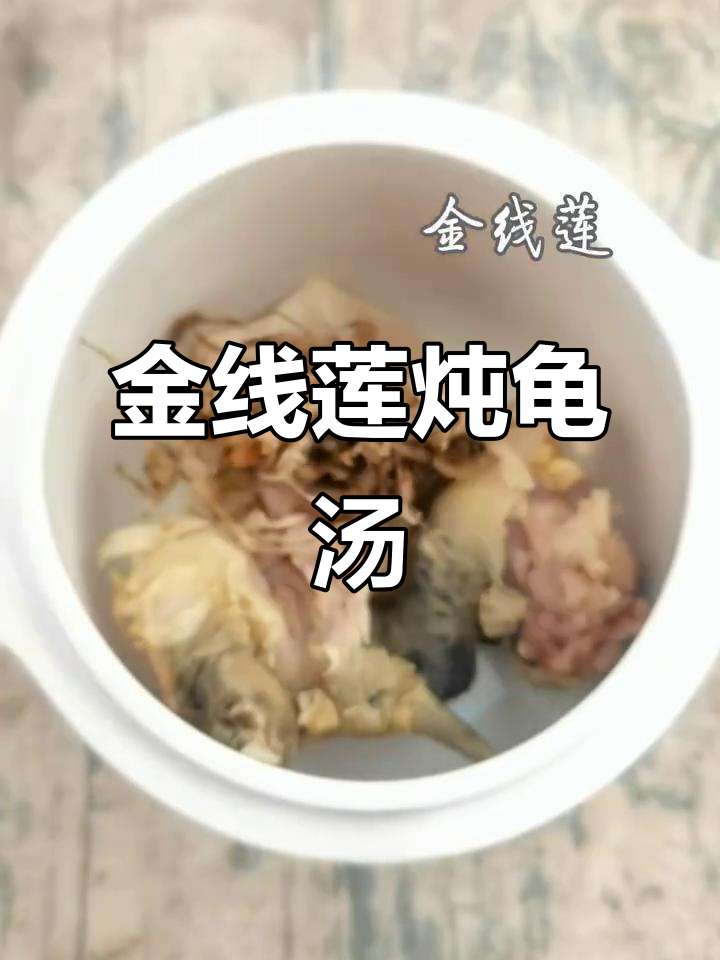 金线莲乌龟汤,滋补养生又美味