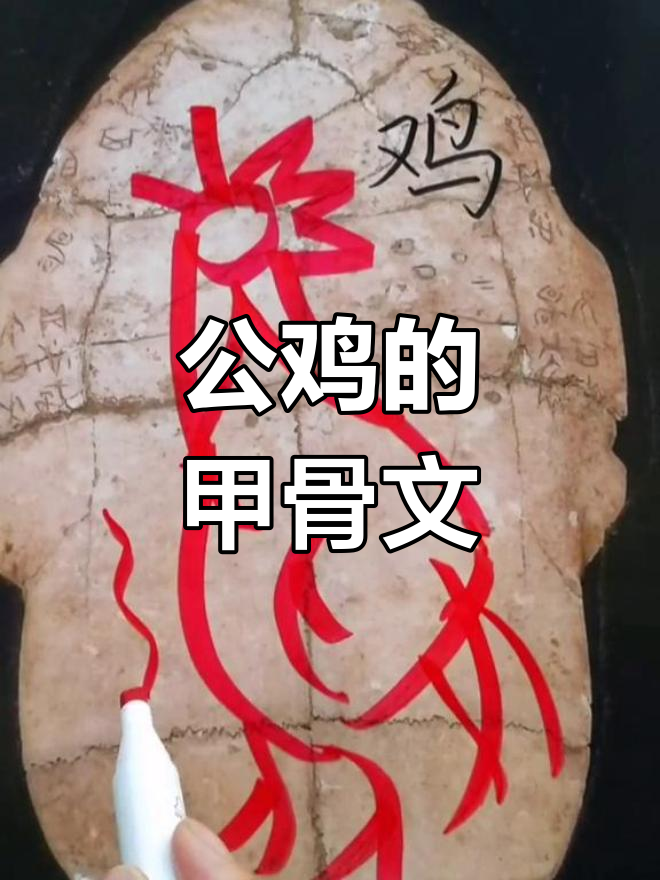 甲骨文中的公鸡形象解析