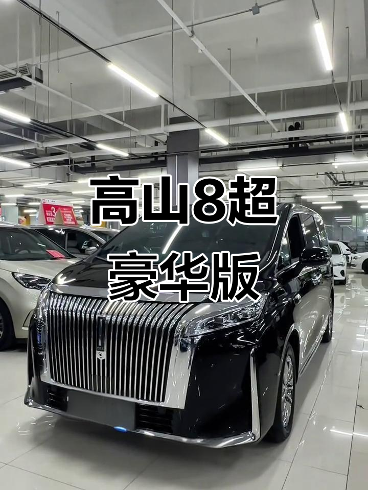 魏派高山8#商务车,全新配置与豪华体验