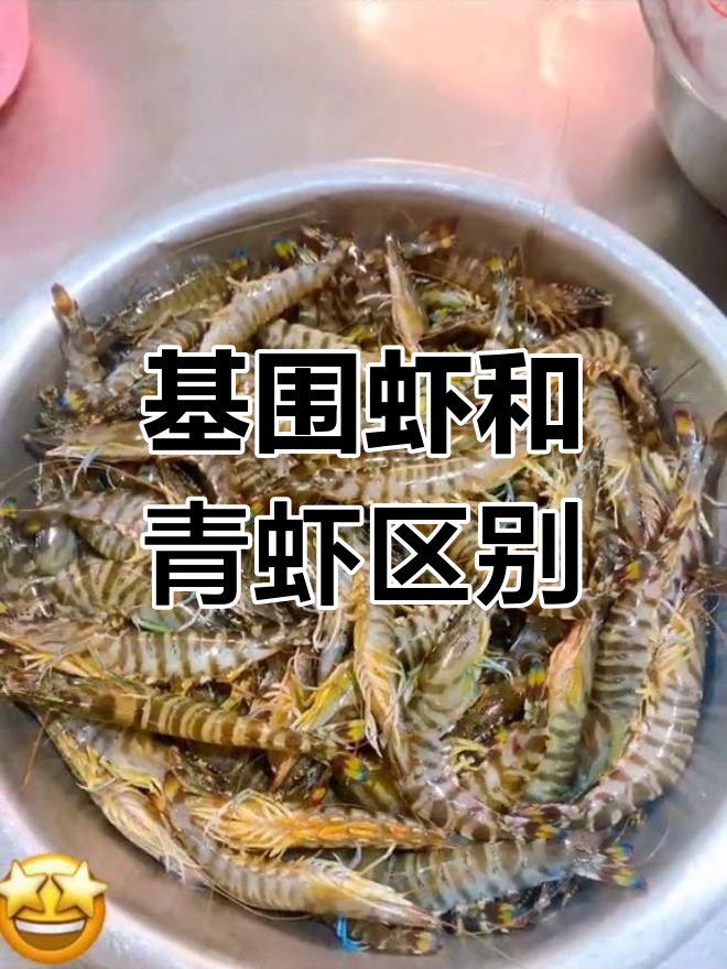 基围虾与国产青虾的区别解析