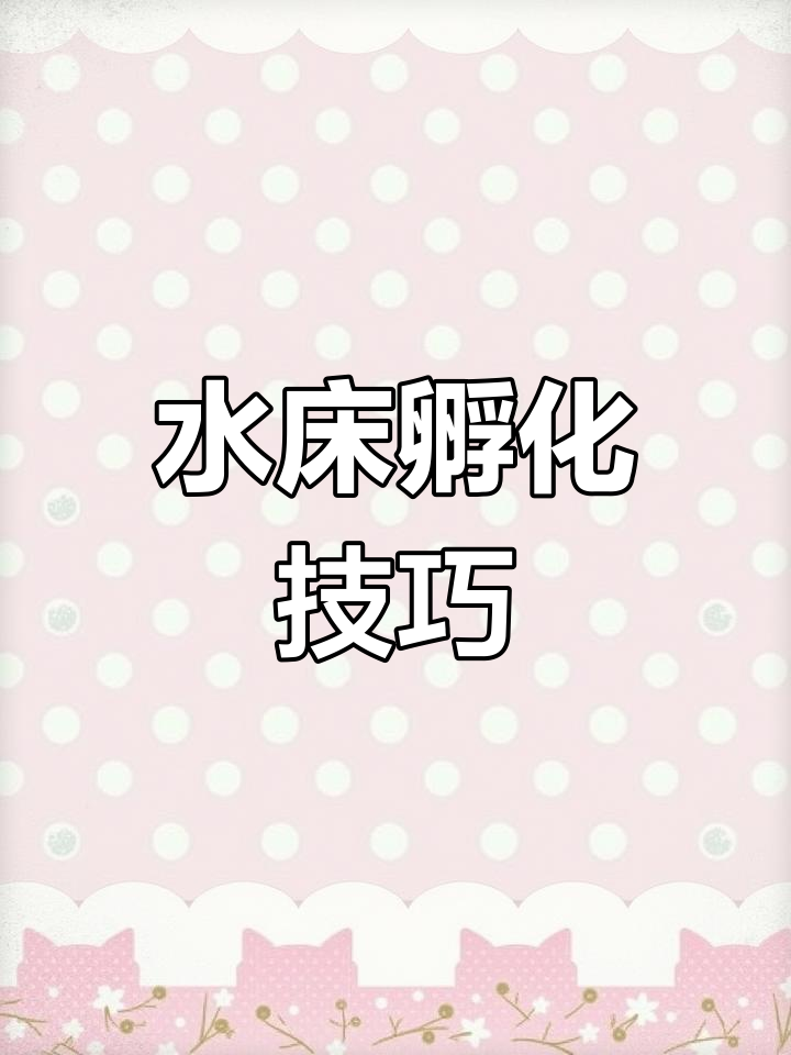 水床孵化全攻略:如何正确孵蛋,避免小头啄壳