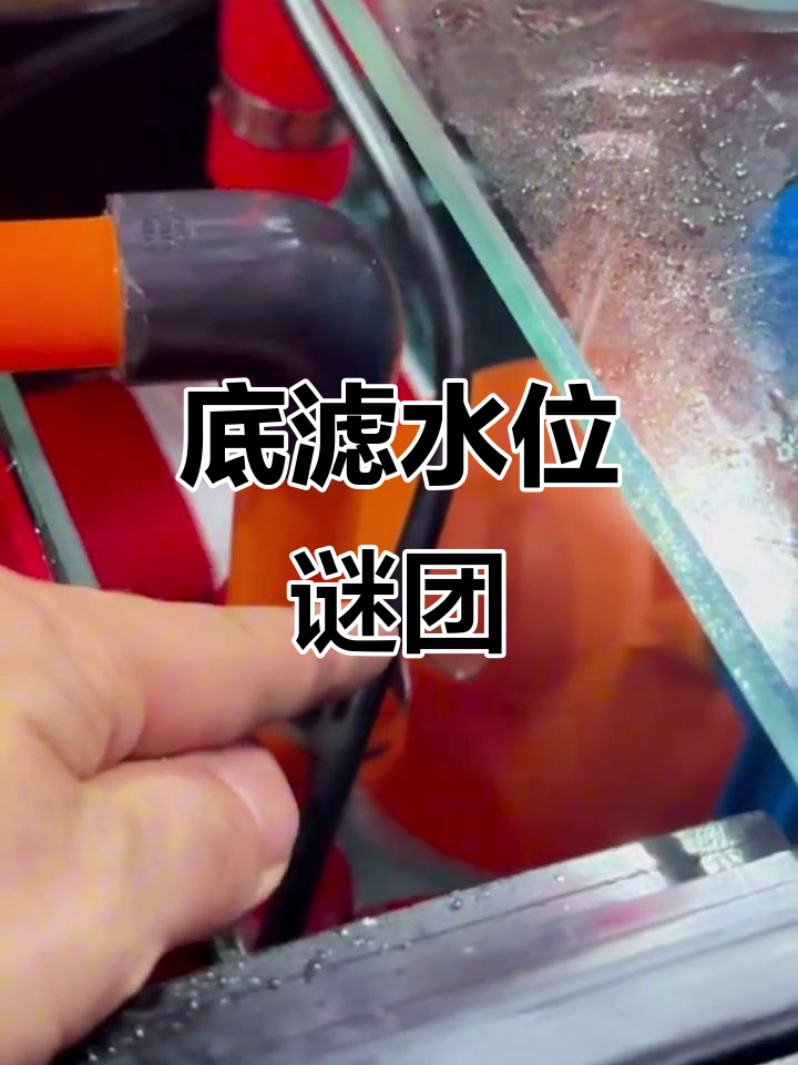 水蒸发,水位不降?底滤鱼缸实测揭秘!