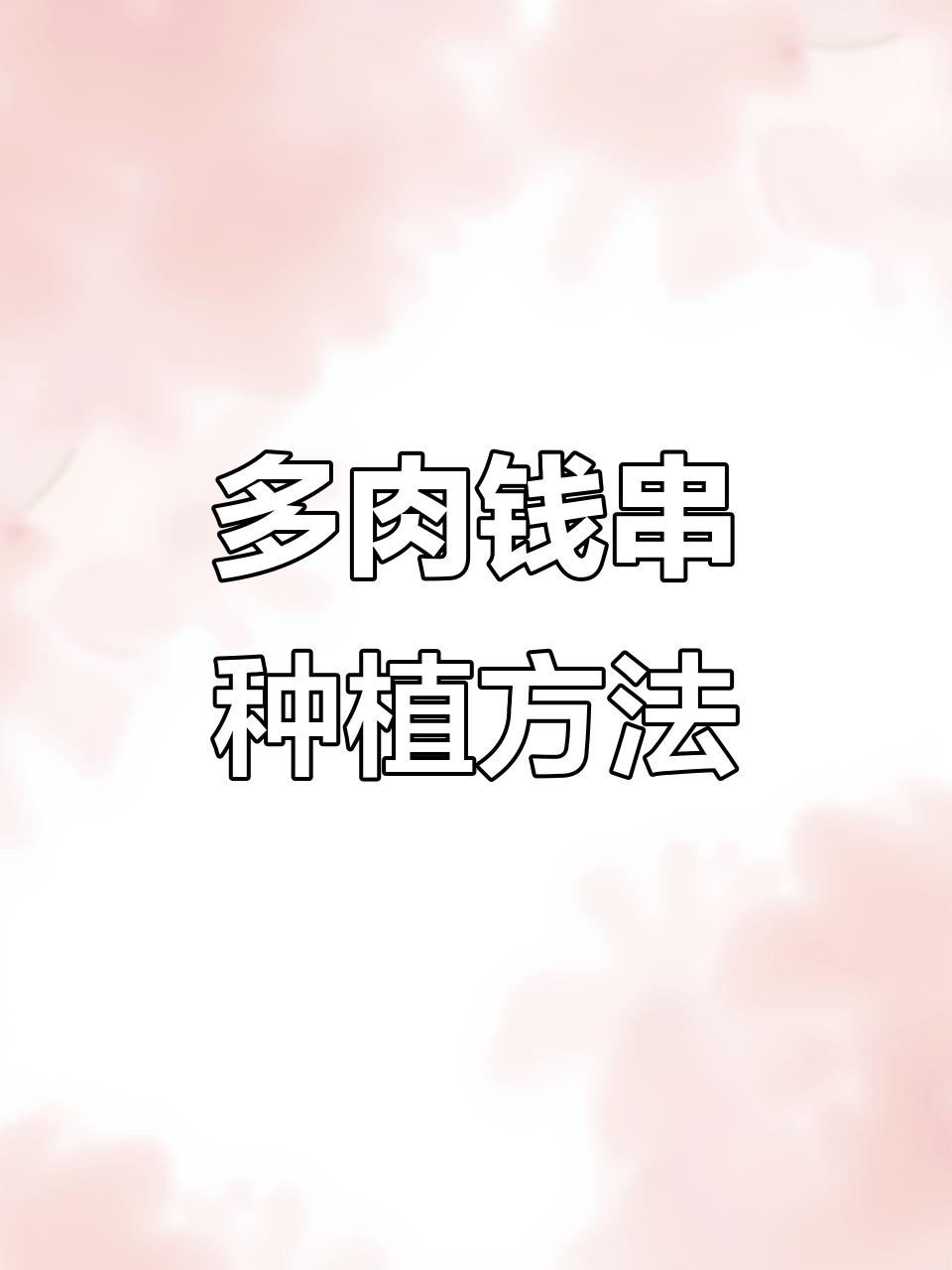 钱串多肉植物上盆技巧，轻松搞定养护问题