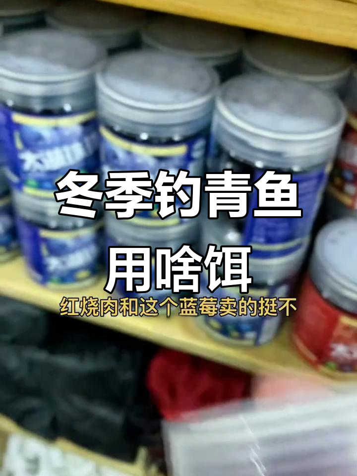 冬季钓青鱼必备饵料,红烧肉最受欢迎