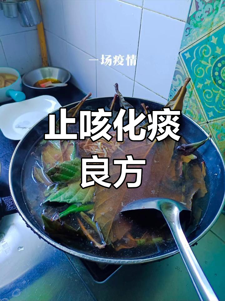 枇杷叶与鱼腥草煮水,缓解咳嗽痰多,助力渡过难关