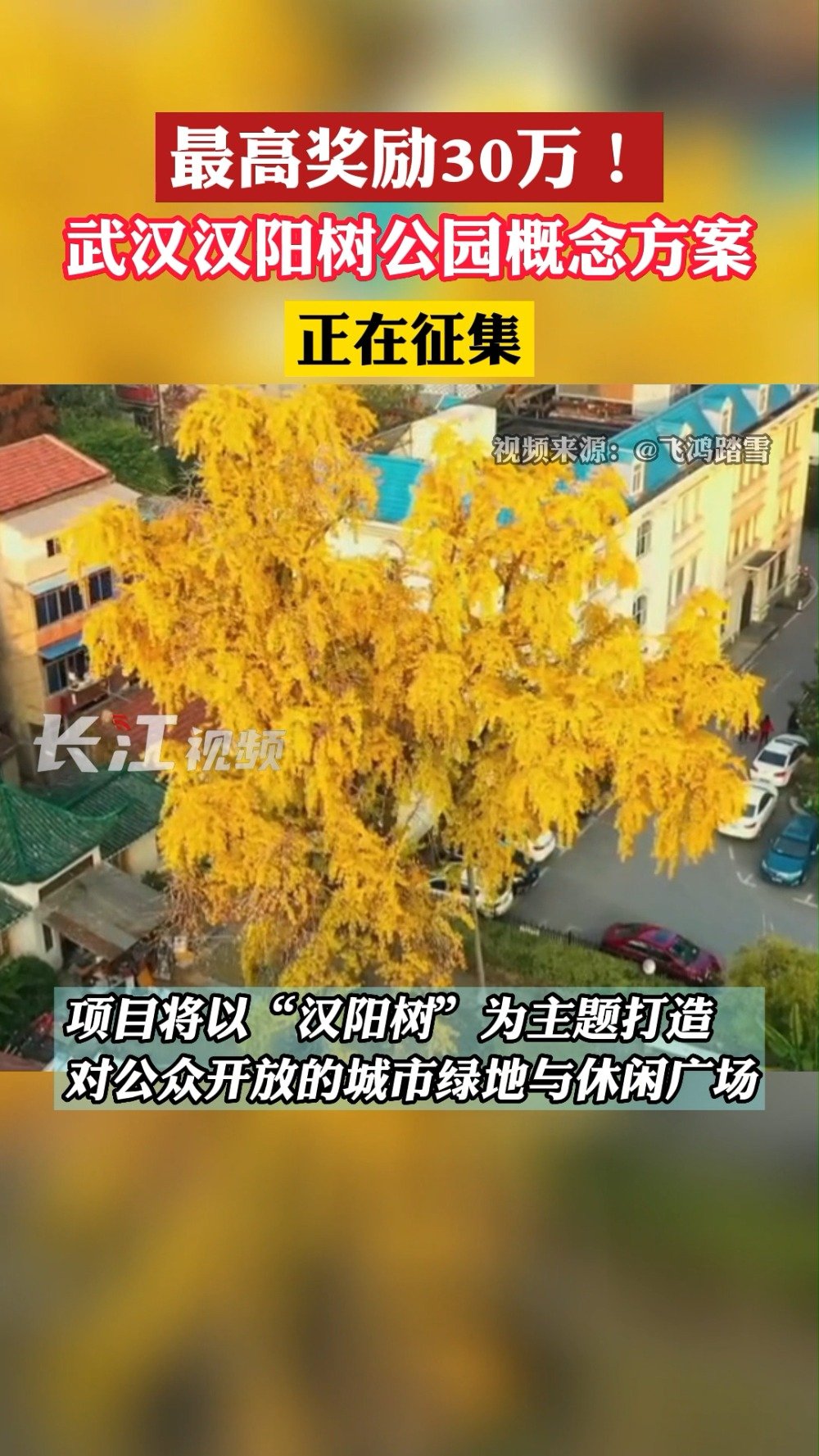 武汉文旅资讯「汉阳树公园征集概念方案最高奖励达30万」汉阳树公园(暂定名)位于汉阳古城(显