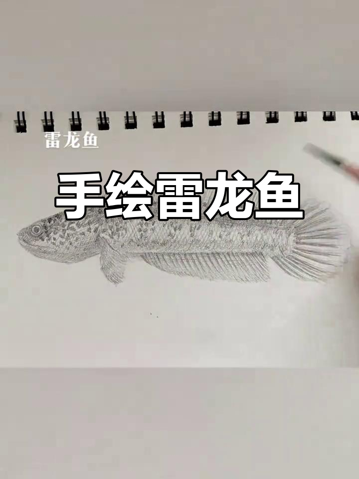 画出你心中的雷龙鱼,挑战简笔画!