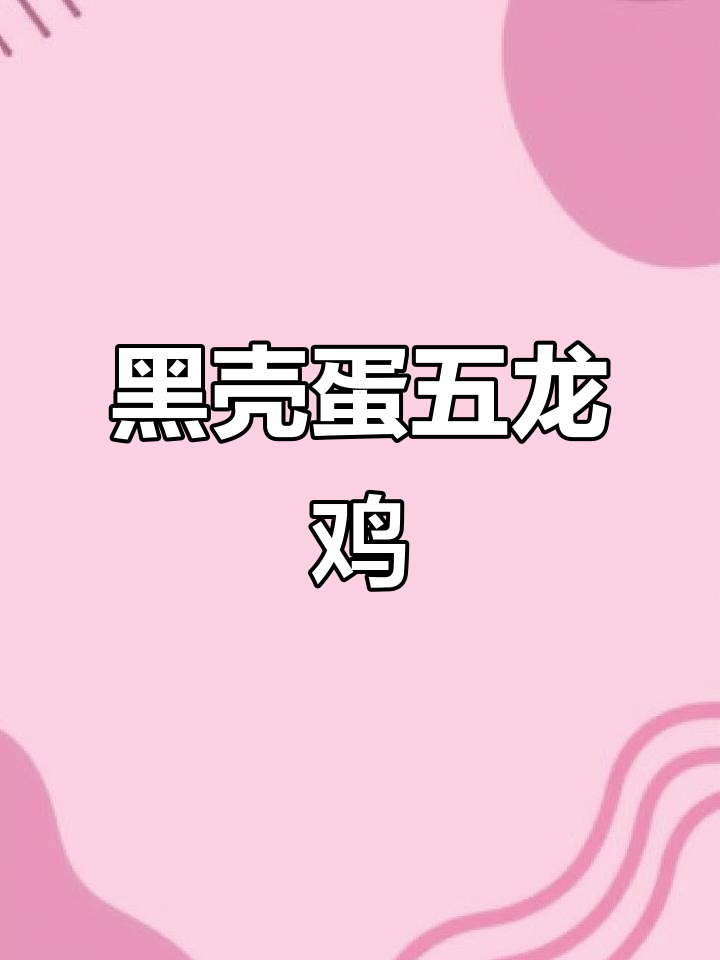 五龙黑凤鸡:专产黑壳蛋的土鸡品种,霸气十足