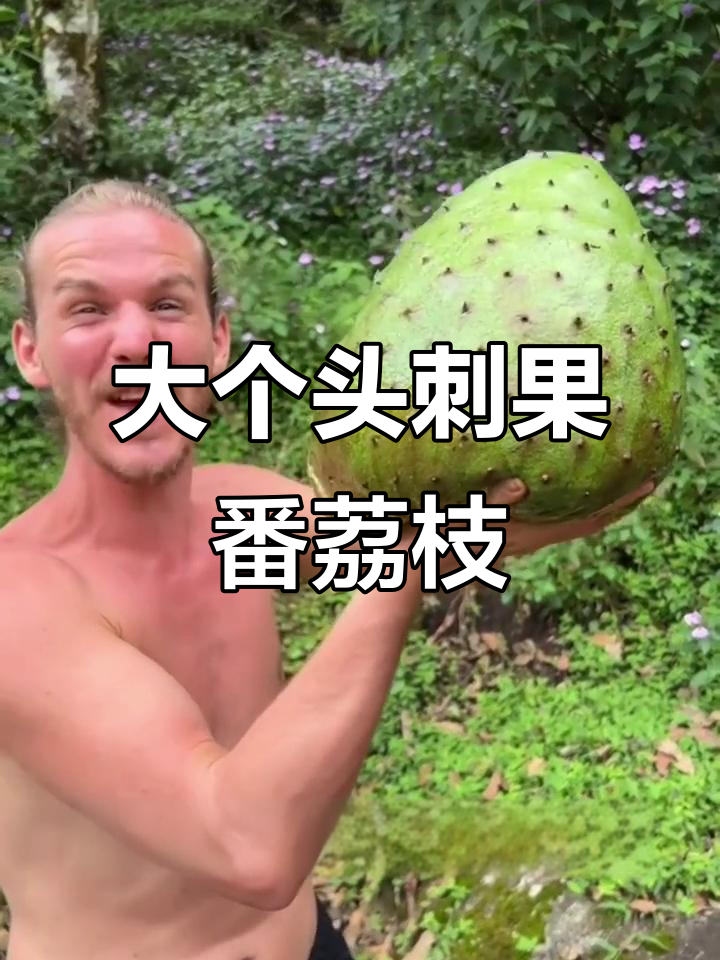直径35厘米的刺果番荔枝,口感独特像酸奶