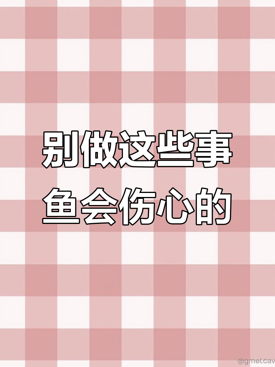 鱼缸养护小技巧，别让鱼儿伤心