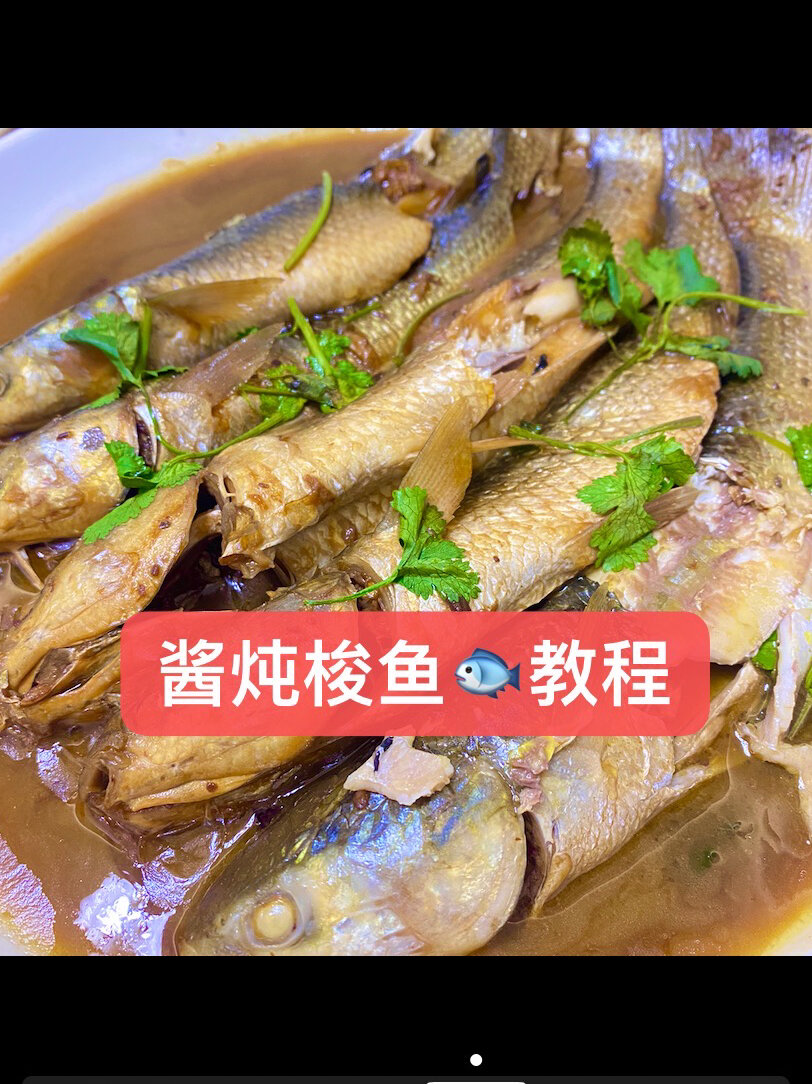 酱炖梭鱼梭鱼怎么做 万物皆可酱炖