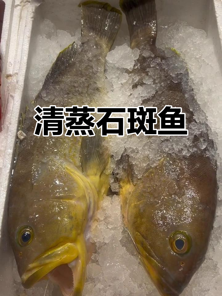 深海石斑鱼清蒸大揭秘,口感鲜美让人停不下来
